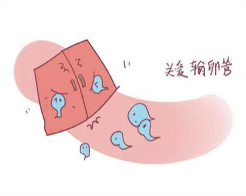 成都供卵试管中心机构：助孕生子收费标准