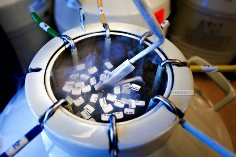 成都哪个生殖中心最好？公立代怀孕包成功