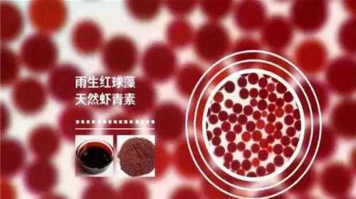 成都助孕生子哪家强？助孕机构数量统计